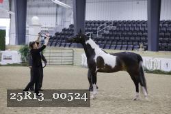 25R13_00524 thumbnail