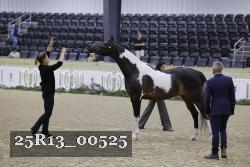 25R13_00525 thumbnail