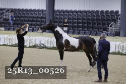 25R13_00526 thumbnail