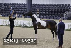 25R13_00527 thumbnail