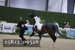 25R13_00528 thumbnail