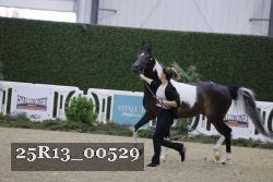 25R13_00529 thumbnail