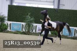 25R13_00530 thumbnail