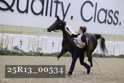 25R13_00534 thumbnail