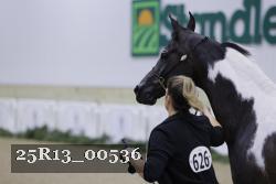 25R13_00536 thumbnail