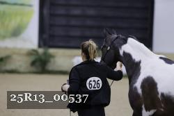 25R13_00537 thumbnail