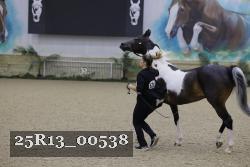 25R13_00538 thumbnail