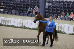 25R13_00540 thumbnail