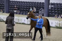 25R13_00541 thumbnail