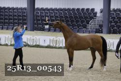 25R13_00543 thumbnail
