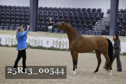25R13_00544 thumbnail