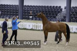 25R13_00545 thumbnail