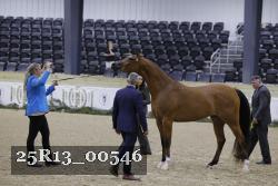 25R13_00546 thumbnail