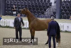 25R13_00548 thumbnail