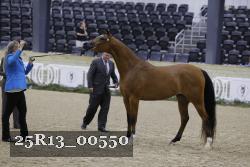 25R13_00550 thumbnail