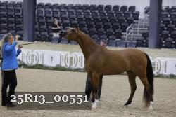 25R13_00551 thumbnail
