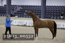 25R13_00552 thumbnail