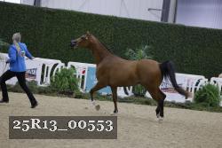 25R13_00553 thumbnail
