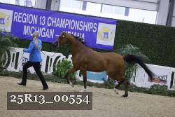 25R13_00554 thumbnail