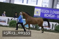 25R13_00555 thumbnail