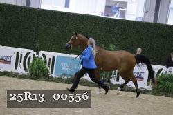 25R13_00556 thumbnail