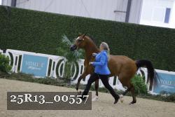 25R13_00557 thumbnail