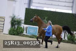 25R13_00558 thumbnail