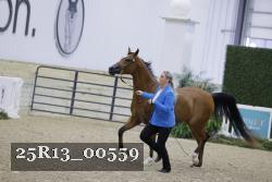25R13_00559 thumbnail
