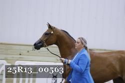 25R13_00563 thumbnail