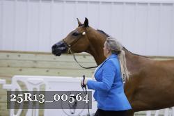 25R13_00564 thumbnail