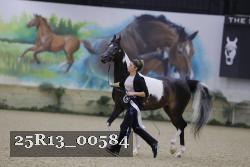 25R13_00584 thumbnail