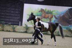 25R13_00585 thumbnail