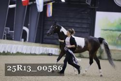 25R13_00586 thumbnail