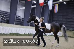 25R13_00587 thumbnail