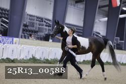 25R13_00588 thumbnail