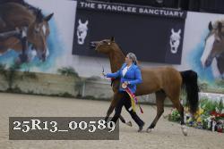 25R13_00589 thumbnail