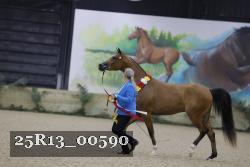 25R13_00590 thumbnail