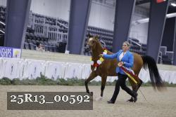 25R13_00592 thumbnail