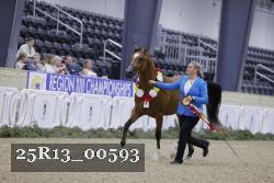 25R13_00593 thumbnail