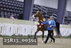 25R13_00594 thumbnail