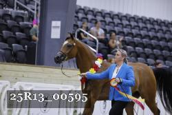 25R13_00595 thumbnail