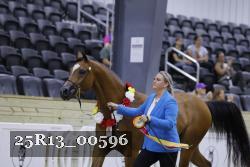 25R13_00596 thumbnail