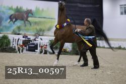 25R13_00597 thumbnail