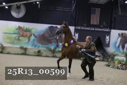 25R13_00599 thumbnail