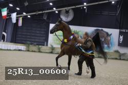 25R13_00600 thumbnail