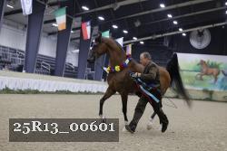25R13_00601 thumbnail