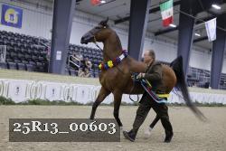 25R13_00603 thumbnail