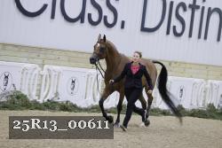 25R13_00611 thumbnail