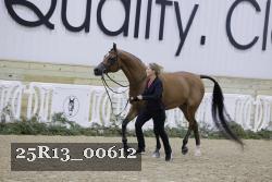 25R13_00612 thumbnail