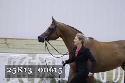 25R13_00615 thumbnail